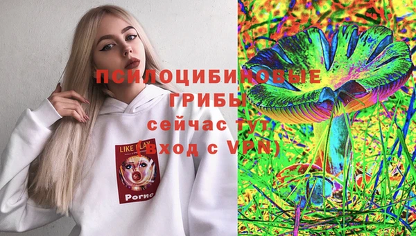 Альфа ПВП Баксан