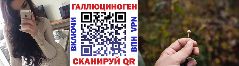 Галлюциногенные грибы Cubensis Нытва